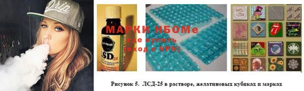 индика Абинск