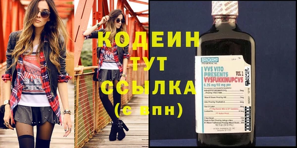 индика Абинск