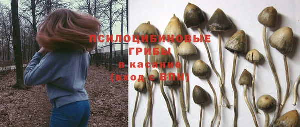 индика Абинск