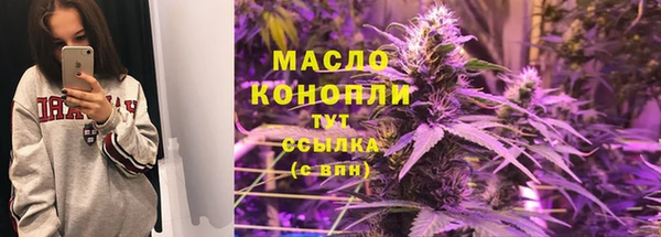 индика Абинск