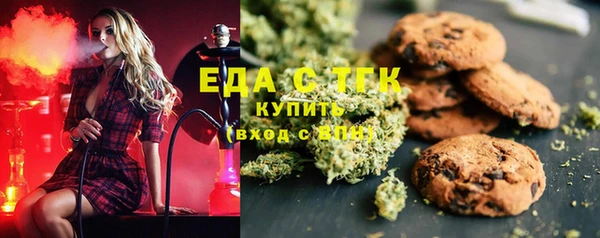 индика Абинск