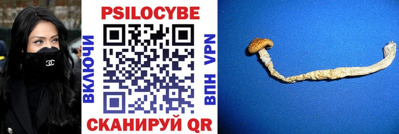 Галлюциногенные грибы Magic Shrooms  где купить наркоту  Кисловодск 