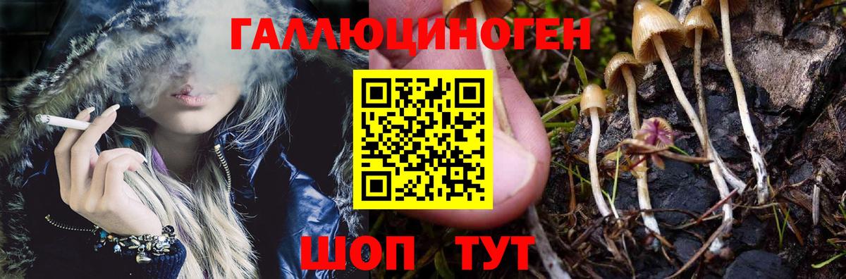 Галлюциногенные грибы ЛСД  Галлюциногенные грибы ЛСД  Кисловодск  Вход с VPN 