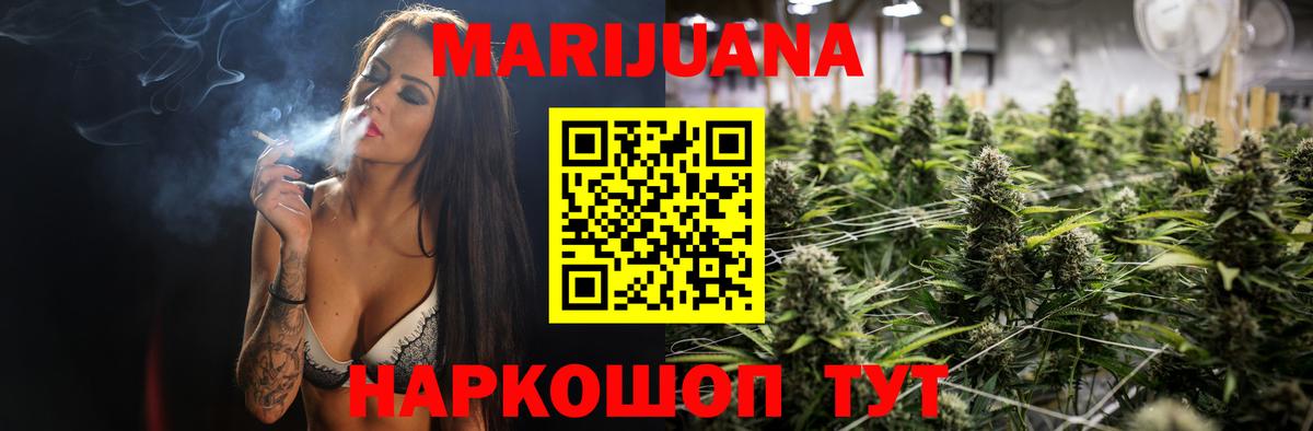 Шишки марихуана семена Кисловодск